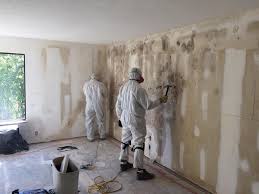 Mold Remediation for Vacation Homes in Rosemount, MN